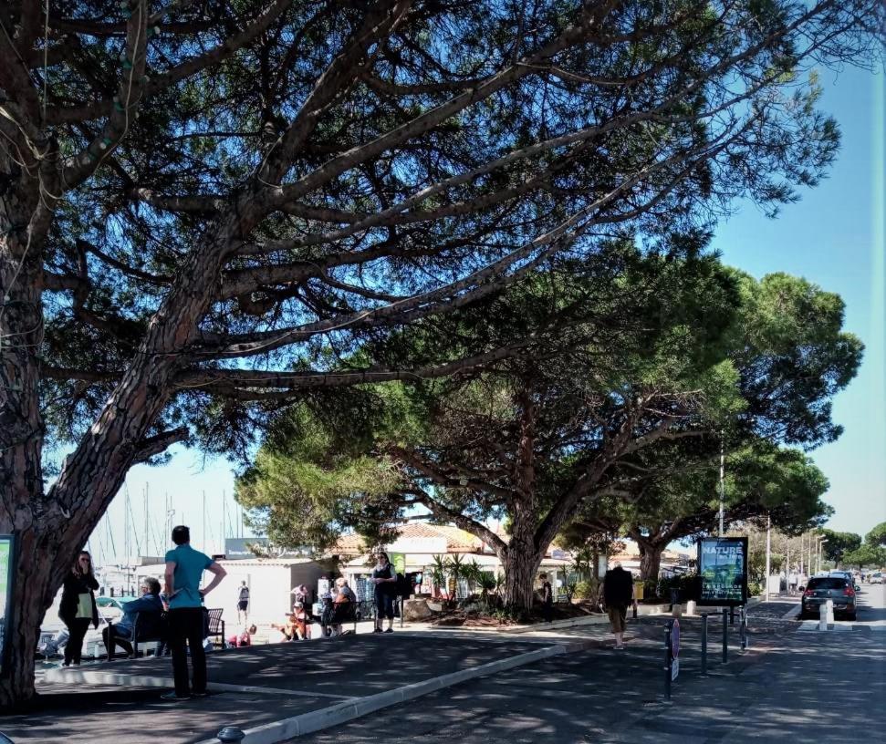 Le Jardin De La Plage - Linges Inclus La Londe-les-Maures Exterior foto